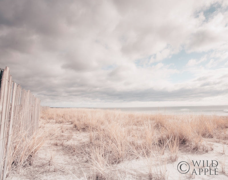 Reproduction of Atlantic Coast Afternoon Soft Crop by Nathan Larson - Wall Decor Art