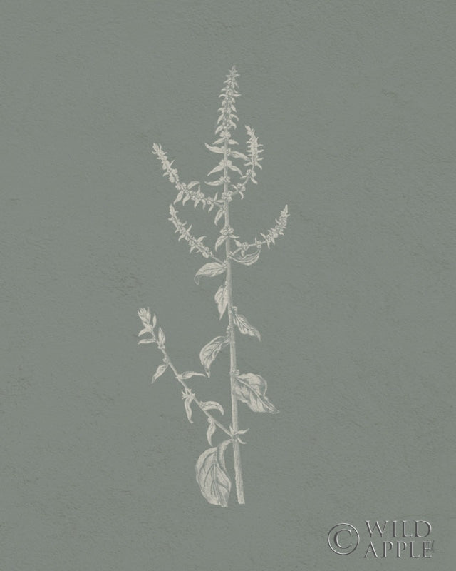 Reproduction of Gifts from the Meadow VI Sage by Sarah Adams - Wall Decor Art