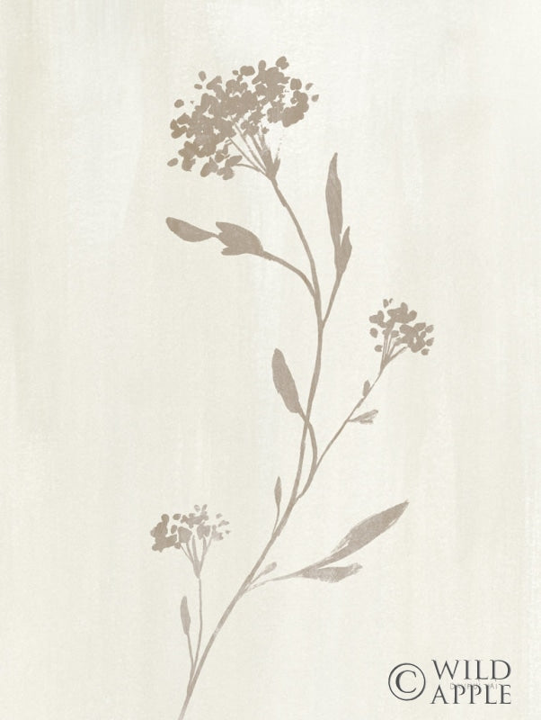 Reproduction of Simple Nature IV Neutral by Danhui Nai - Wall Decor Art