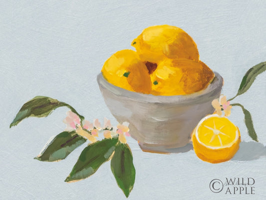 Lemons In Grey Bowl Blue Texture Posters Prints & Visual Artwork