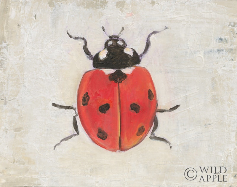 Reproduction of Garden Beauties I by Julia Purinton - Wall Decor Art