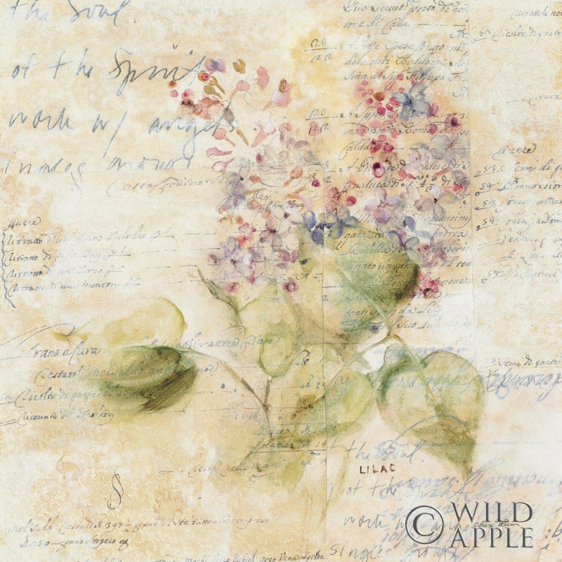 White Wash Lilac Posters Prints & Visual Artwork