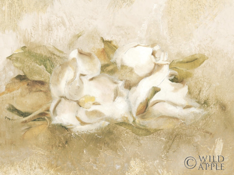 Reproduction of Magnolia III by Cheri Blum - Wall Decor Art