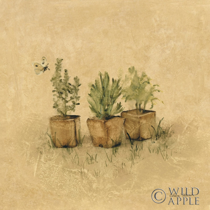 Reproduction of Potted Plants by Cheri Blum - Wall Decor Art