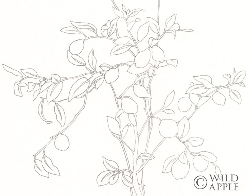 Reproduction of Branching Out by Danhui Nai - Wall Decor Art