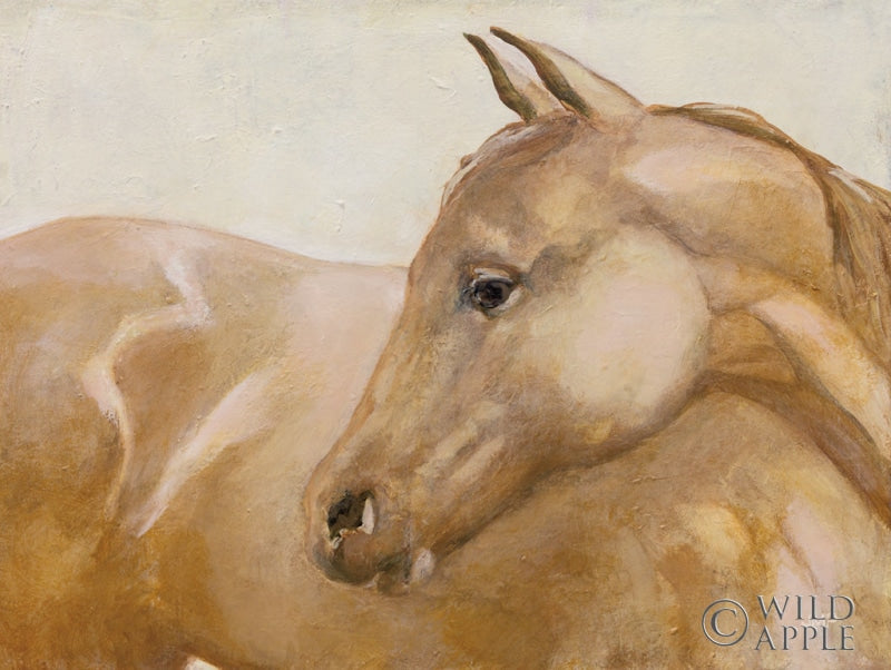 Reproduction of Morning Ride II by Julia Purinton - Wall Decor Art