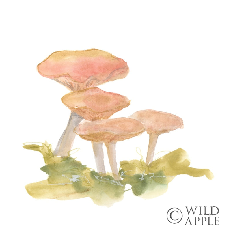Mellow Mushrooms Vi Posters Prints & Visual Artwork