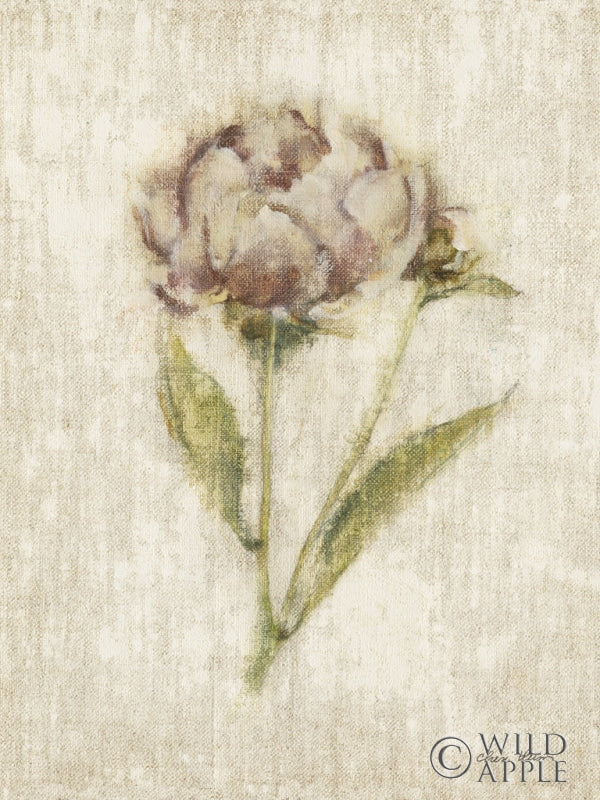 Reproduction of Light and Airy I by Cheri Blum - Wall Decor Art