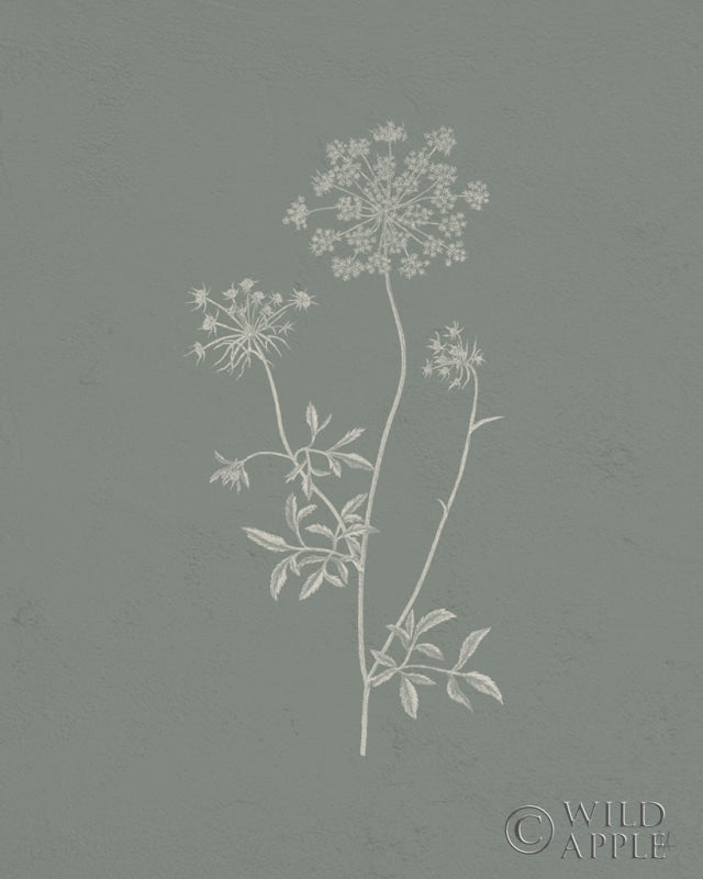 Reproduction of Gifts from the Meadow III Sage by Sarah Adams - Wall Decor Art