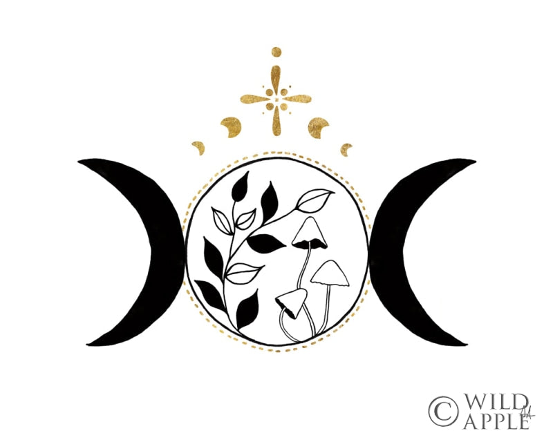 Reproduction of Mystical Mushrooms II by Sarah Adams - Wall Decor Art