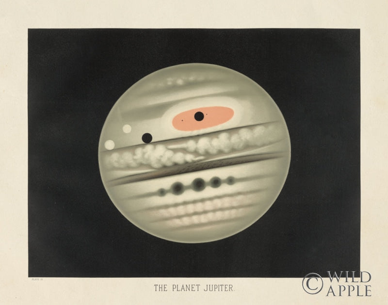 Reproduction of The Planet Jupiter by Wild Apple Portfolio - Wall Decor Art