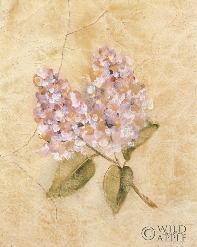 Reproduction of Lilac on Cracked Linen by Cheri Blum - Wall Decor Art