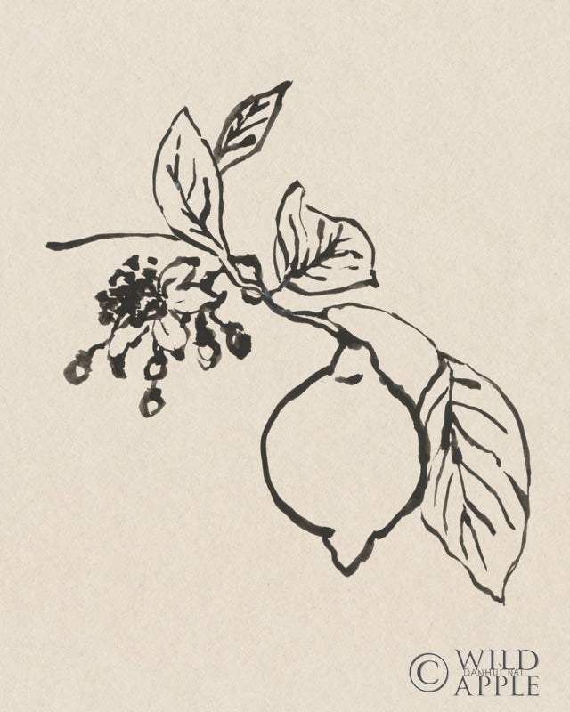 Reproduction of Citrus Summer III Crop by Danhui Nai - Wall Decor Art