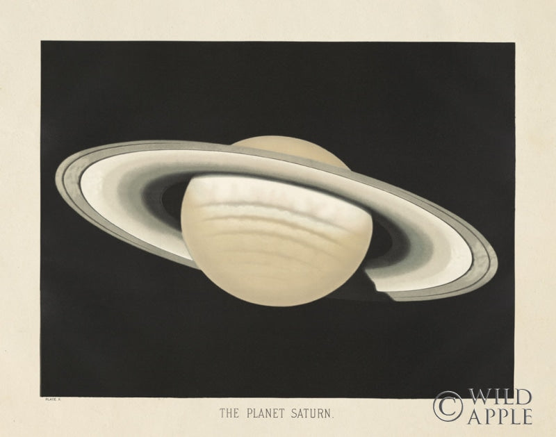 Reproduction of The Planet Saturn by Wild Apple Portfolio - Wall Decor Art