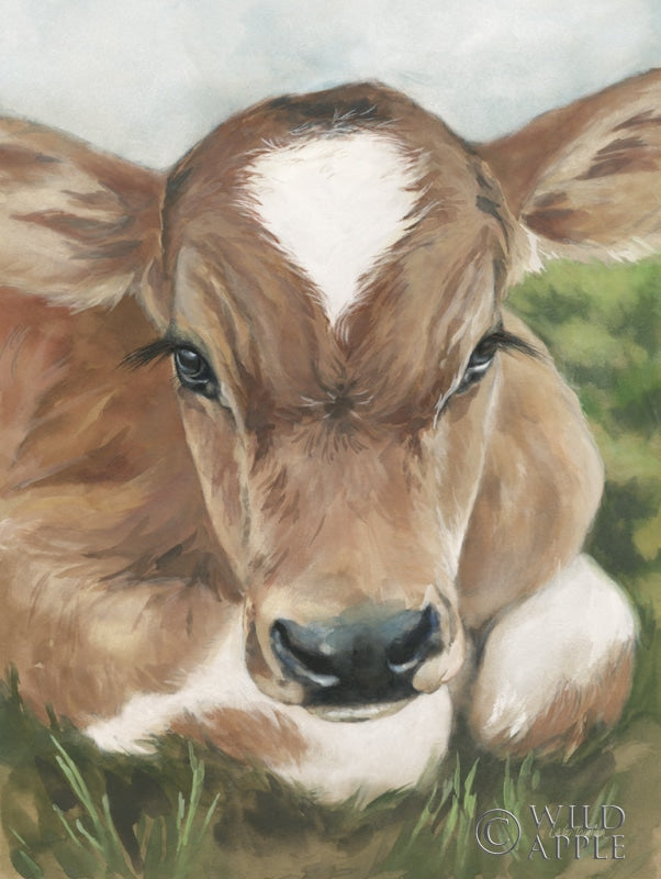 Reproduction of Gentle Calf Face by Leslie Trimbach - Wall Decor Art