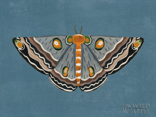 Textured Moth I Posters Prints & Visual Artwork