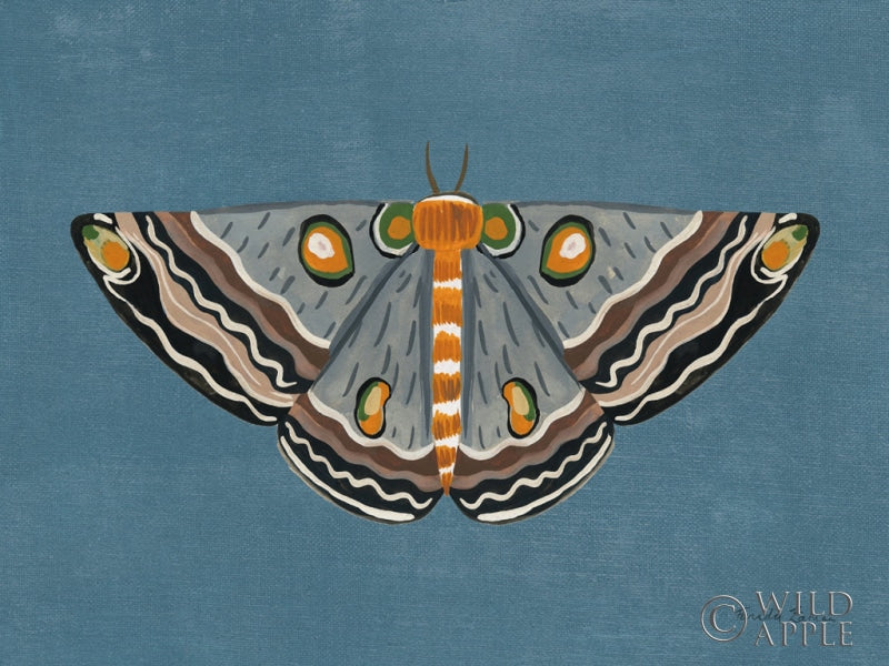 Reproduction of Textured Moth I by Farida Zaman - Wall Decor Art