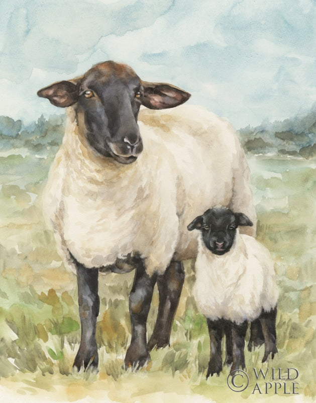 Reproduction of Sheep in a Field by Leslie Trimbach - Wall Decor Art