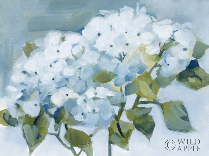 Reproduction of Spring Cottage Hydrangeas by Katrina Pete - Wall Decor Art