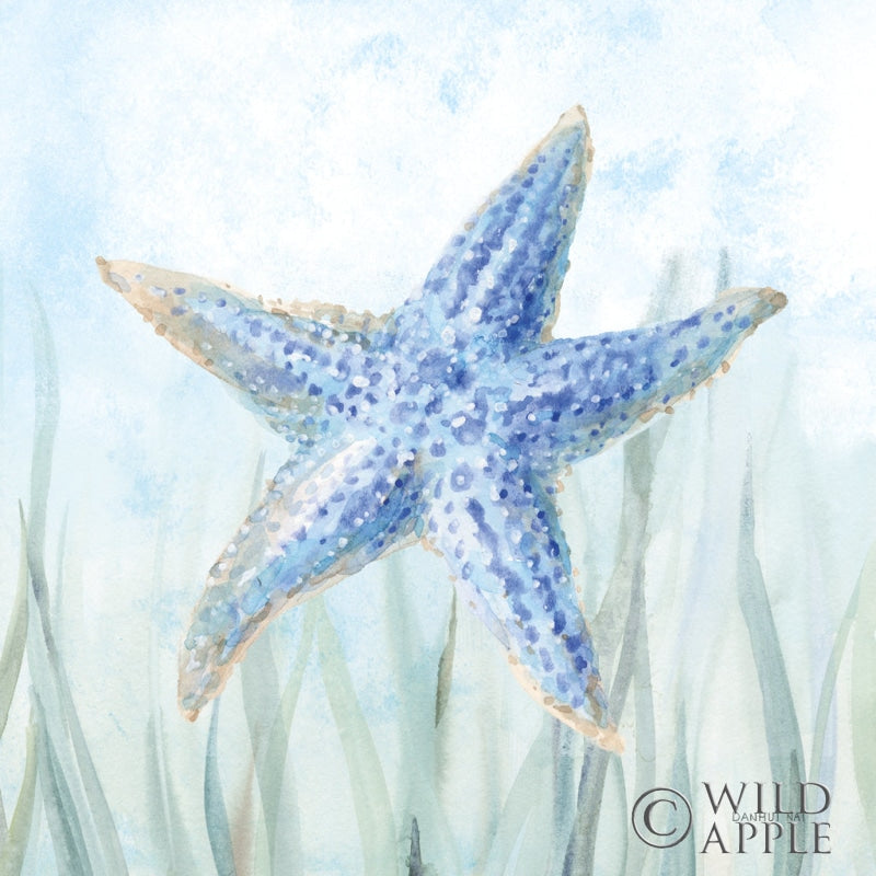 Undersea Starfish Seaweed Posters Prints & Visual Artwork