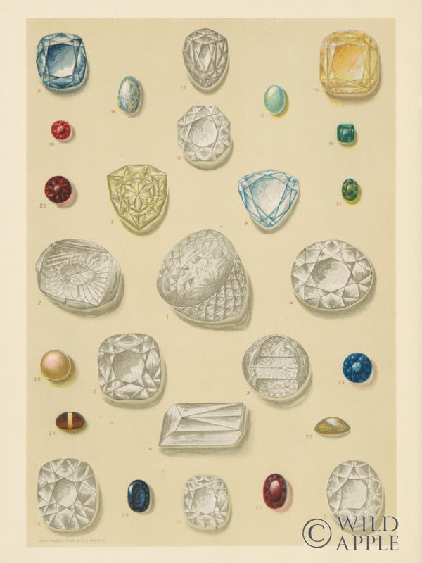 Reproduction of Precious Stones I Crop by Wild Apple Portfolio - Wall Decor Art