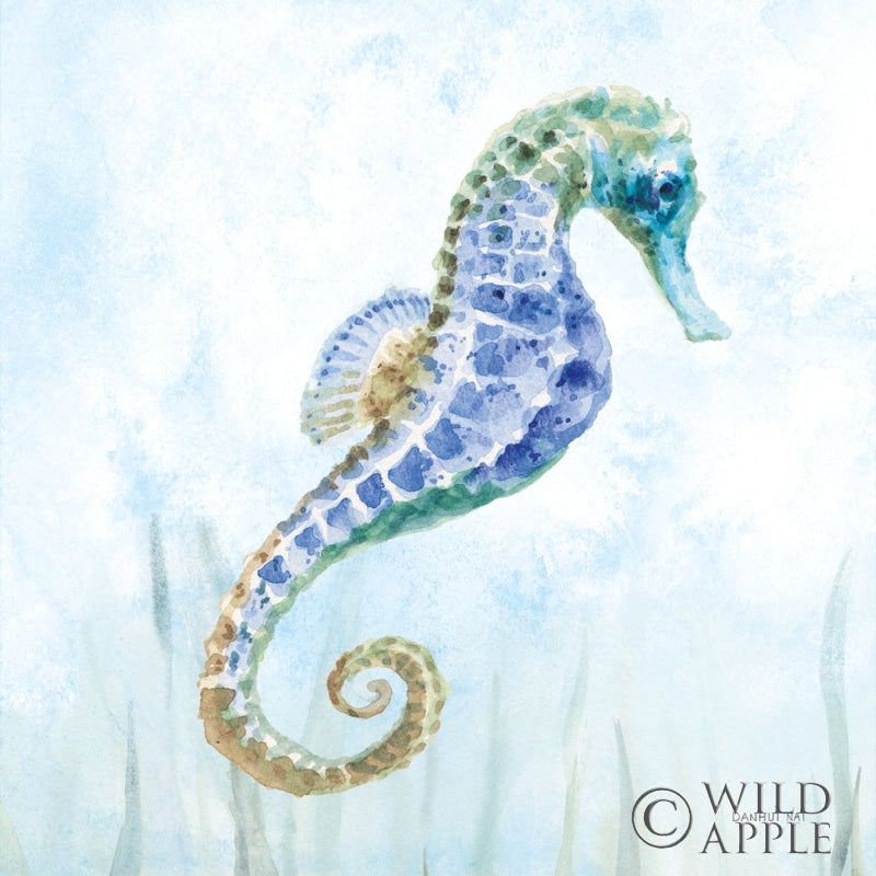 Undersea Seahorse Swimming Ii Posters Prints & Visual Artwork