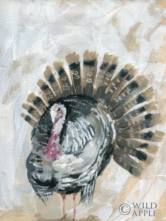 Harvest Turkey Posters Prints & Visual Artwork