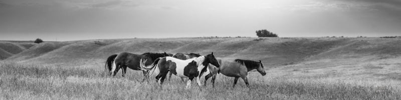 Reproduction of Sunset Rains Panel by Nathan Larson - Wall Decor Art