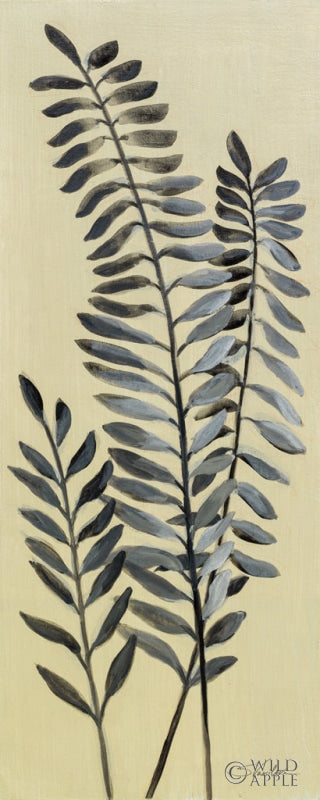 Tall Fern II