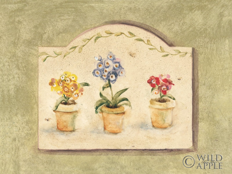 Reproduction of Primroses II by Cheri Blum - Wall Decor Art