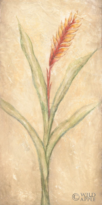 Reproduction of Tropical Flowers III by Cheri Blum - Wall Decor Art