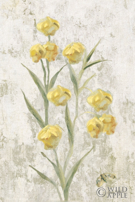 Yellow Field Flowers Crop Posters Prints & Visual Artwork