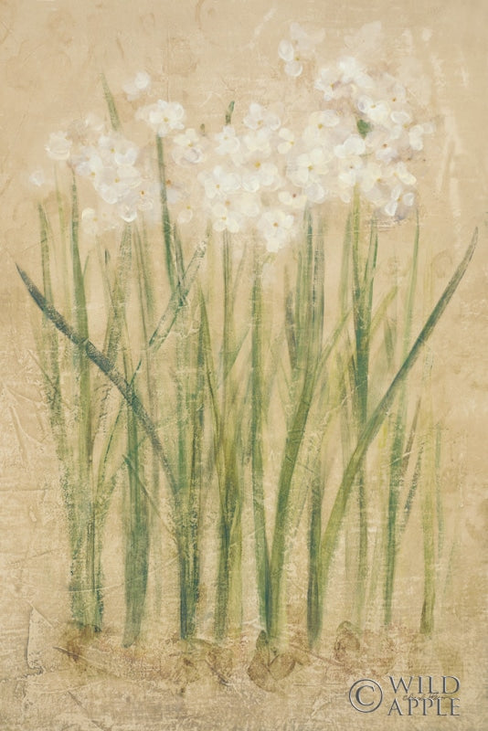 Reproduction of Narcissus by Cheri Blum - Wall Decor Art