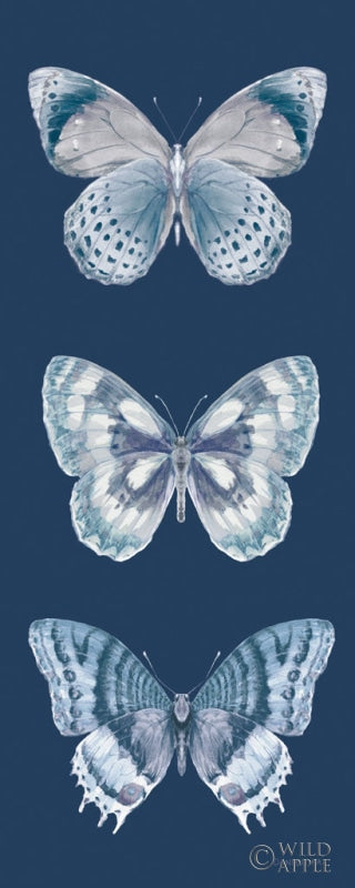 Reproduction of Fragile Wings Butterfly Panel Blue by Danhui Nai - Wall Decor Art