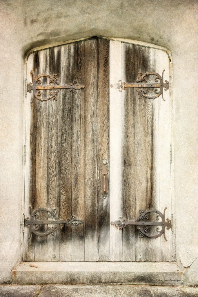 Reproduction of Rustic Door by Debra Van Swearingen - Wall Decor Art