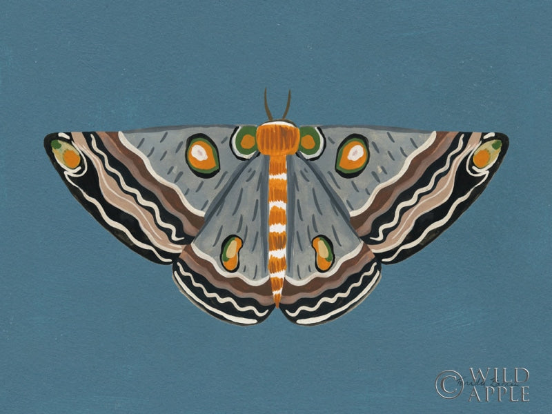 Moth I Posters Prints & Visual Artwork