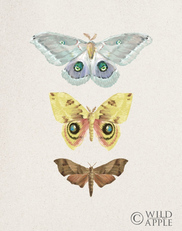 Reproduction of Beauty of the Forest II by Danhui Nai - Wall Decor Art