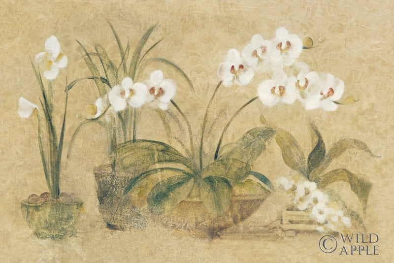 Reproduction of Four Potted Orchids by Cheri Blum - Wall Decor Art
