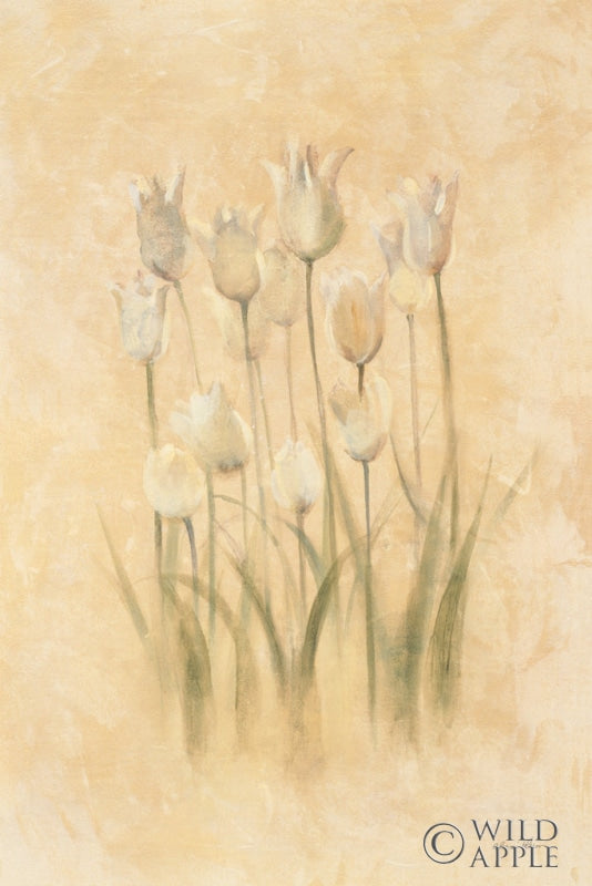Reproduction of White Triumphator Tulips by Cheri Blum - Wall Decor Art