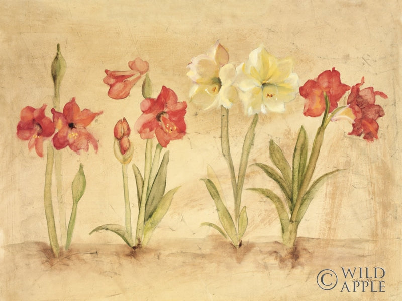 Reproduction of Summertime by Cheri Blum - Wall Decor Art