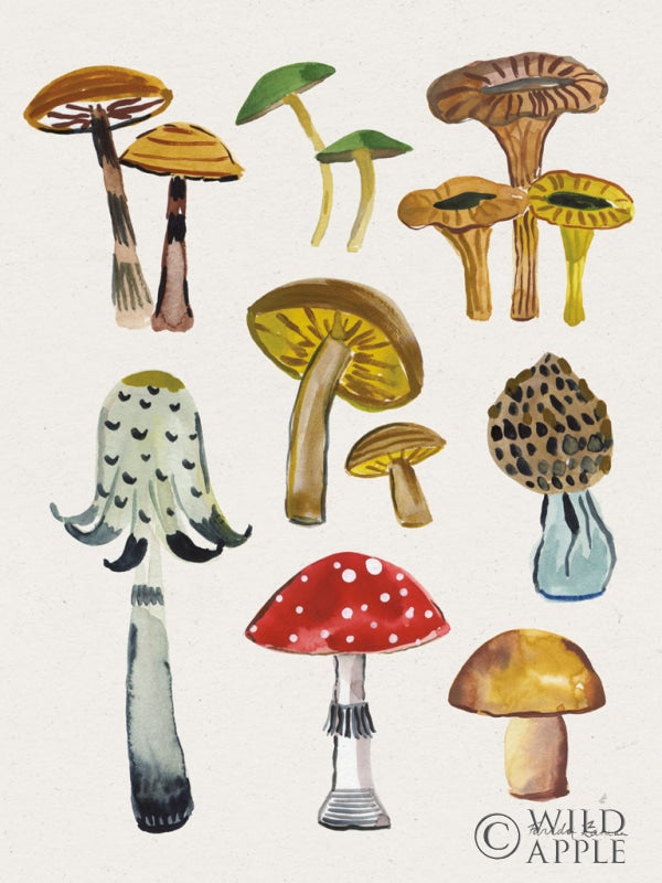 Forest Mushrooms II Crop