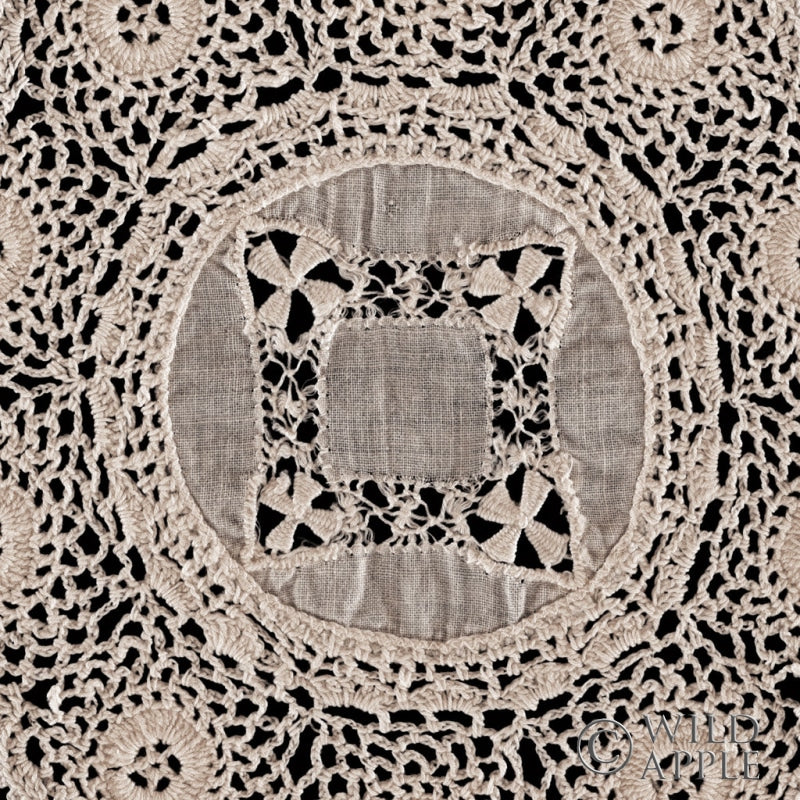 Reproduction of Lace II by Wild Apple Portfolio - Wall Decor Art