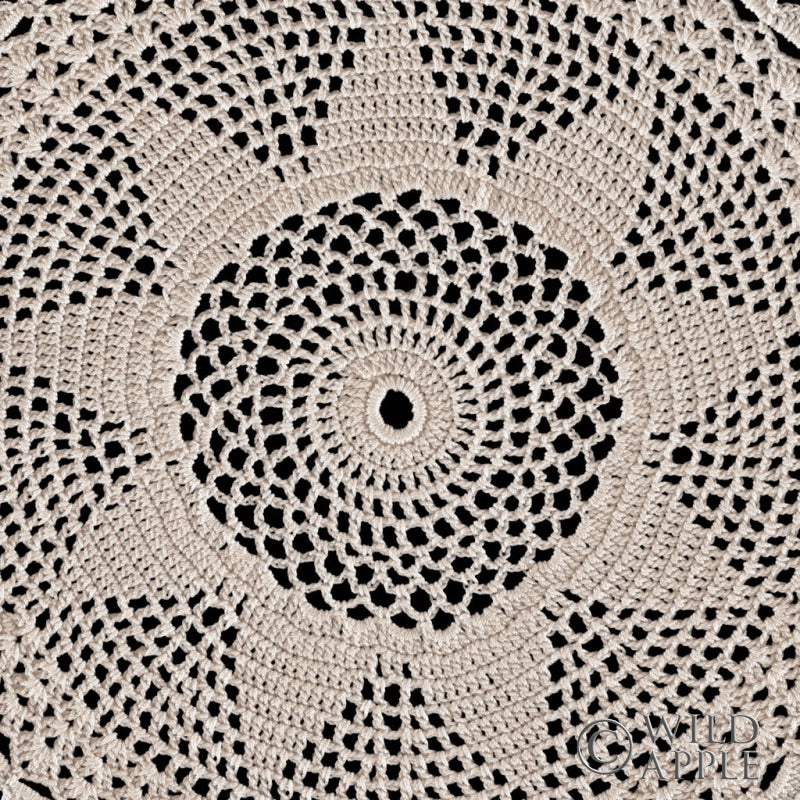 Reproduction of Lace I by Wild Apple Portfolio - Wall Decor Art