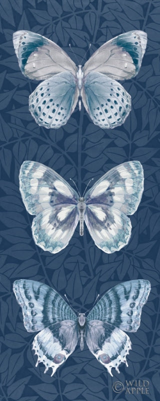 Fragile Wings Butterfly Panel Posters Prints & Visual Artwork