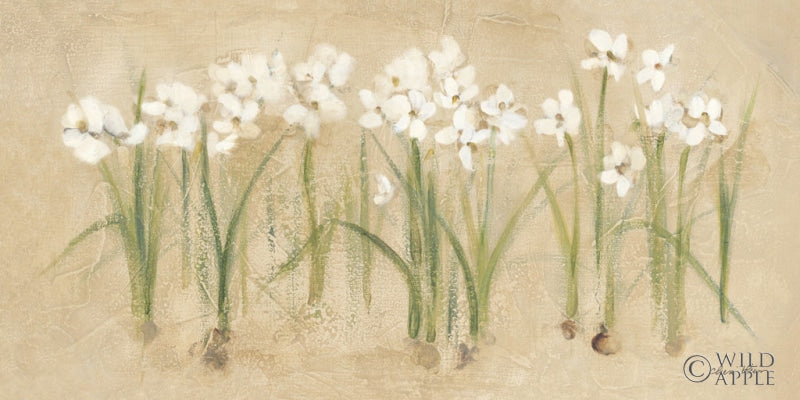 Reproduction of Row of White Narcissus by Cheri Blum - Wall Decor Art