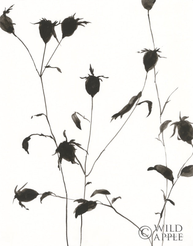 Reproduction of Botanical Shadows II by Danhui Nai - Wall Decor Art