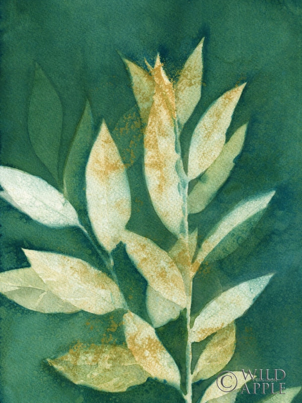 Reproduction of Shower of Gold III Light by Kathy Ferguson - Wall Decor Art