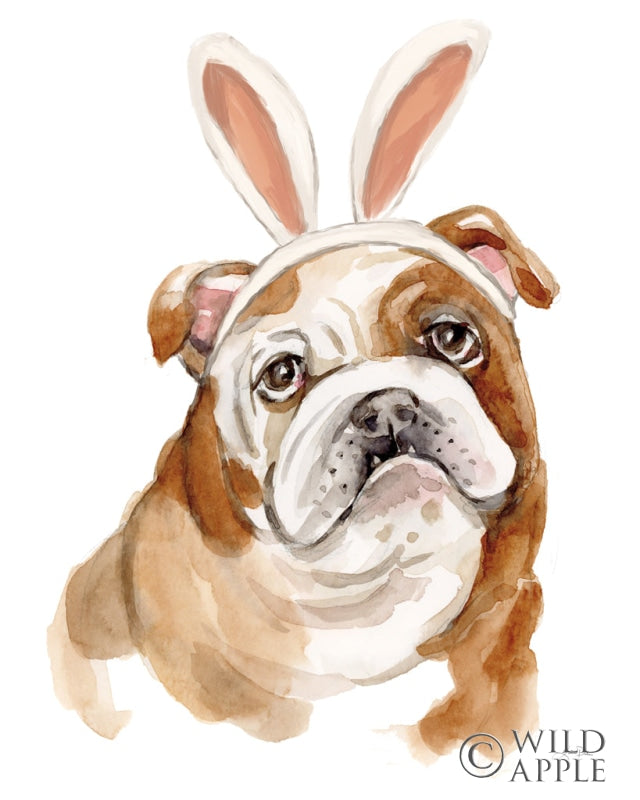 Reproduction of Easter Bulldog by Katrina Pete - Wall Decor Art