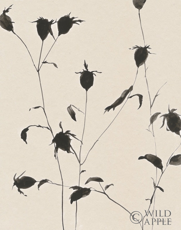 Reproduction of Botanical Shadows II Beige by Danhui Nai - Wall Decor Art
