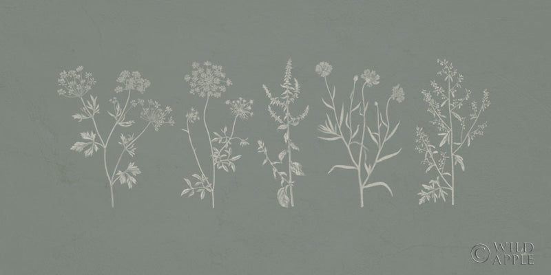 Reproduction of Gifts from the Meadow I Sage by Sarah Adams - Wall Decor Art